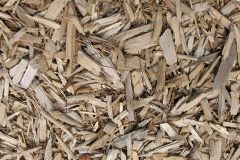 biomass boilers Ardtalnaig